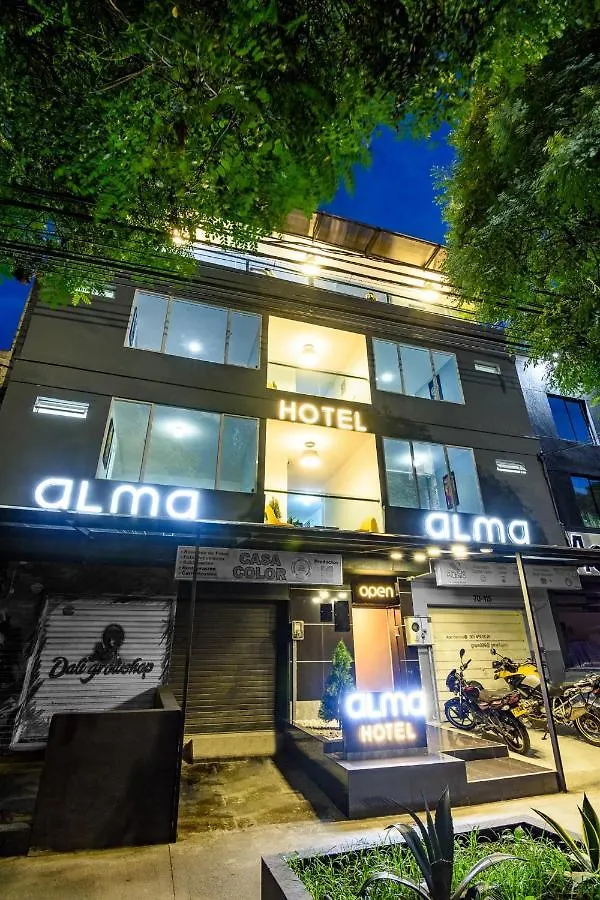 Alma Hotel contacts