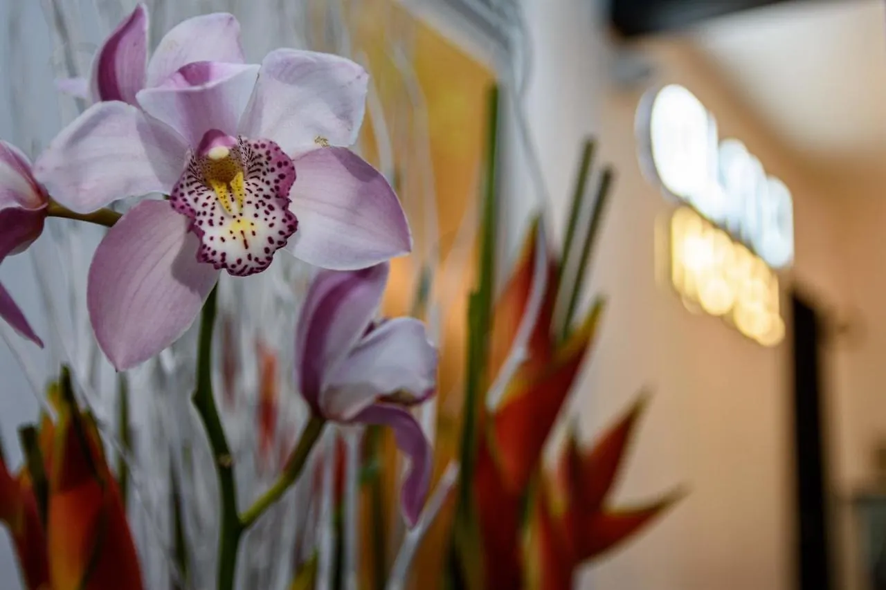 Alma Bed & Breakfast Medellin 2*,  Colombia