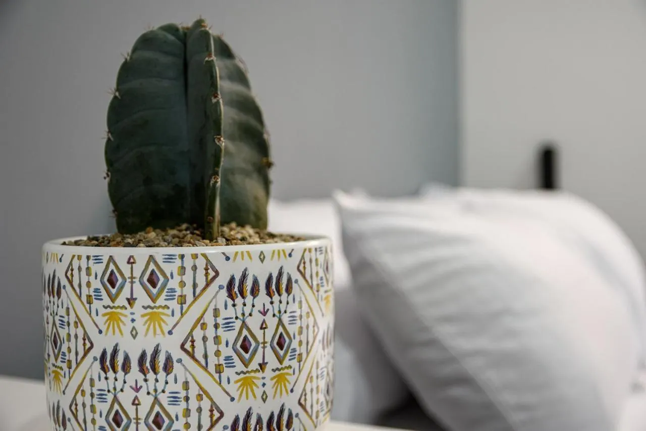 **  Alma Bed & Breakfast Medellin Colombia